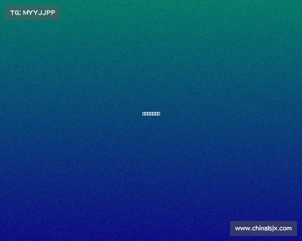 南宁市龙舟比赛